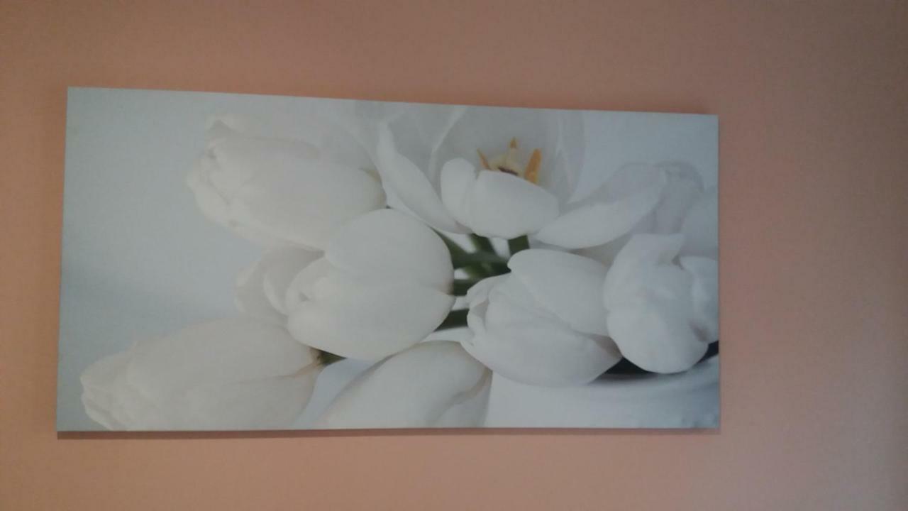 Depandance Macchiavelli 2 Hotel กาญารี ภายนอก รูปภาพ